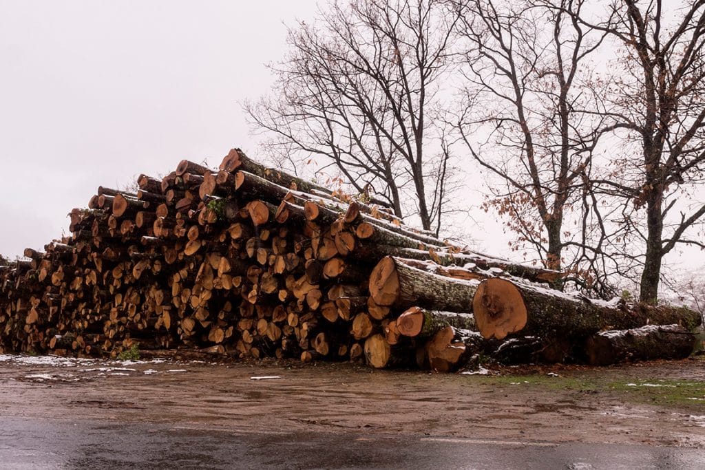 Spécialiste du Châtaignier et bois locaux, découvrez RahuelBois