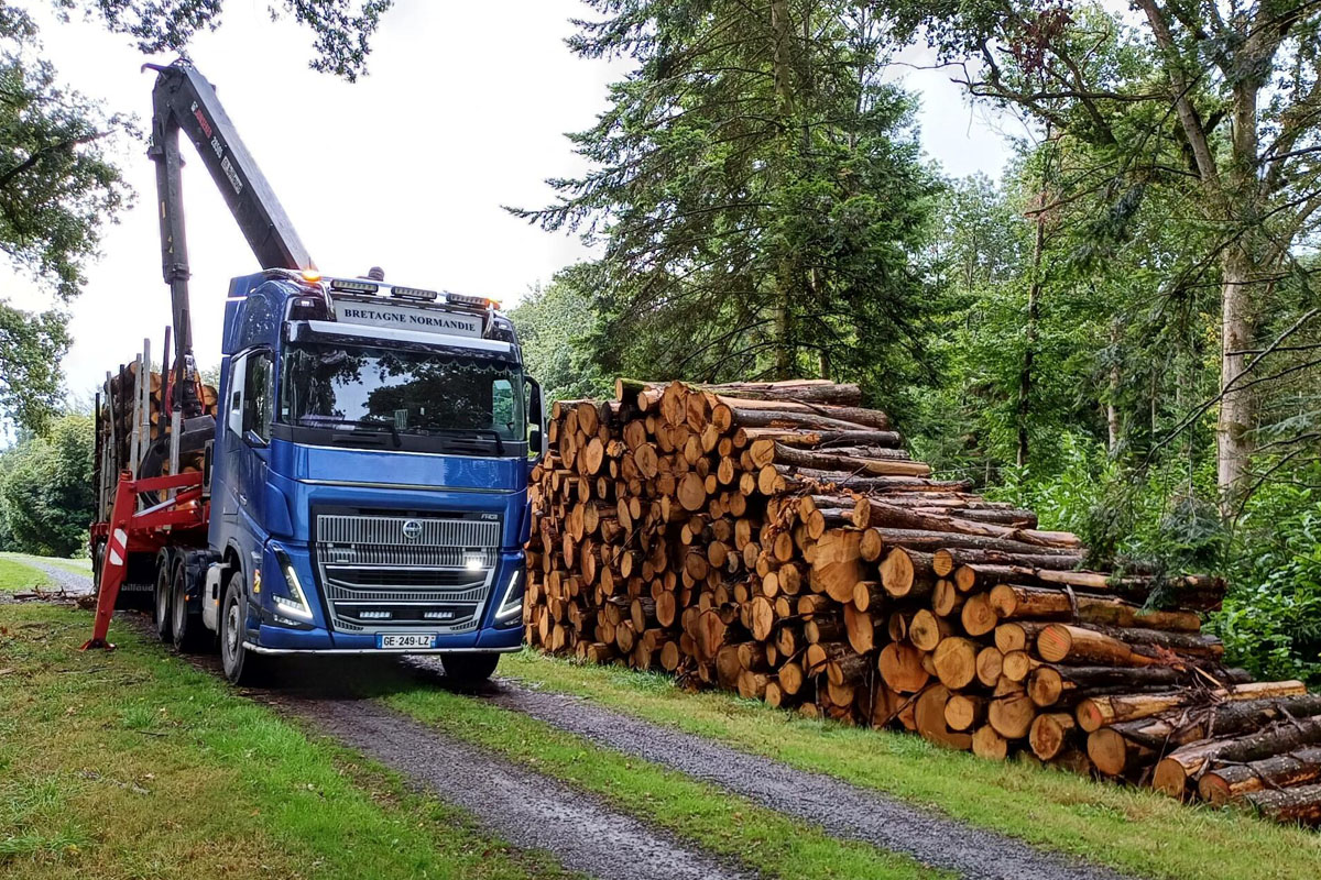 transformation grumes bois de chataignier